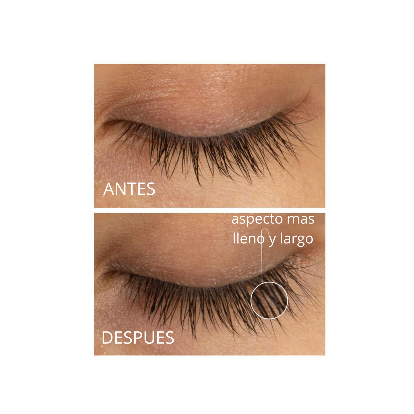 LASHBOOST